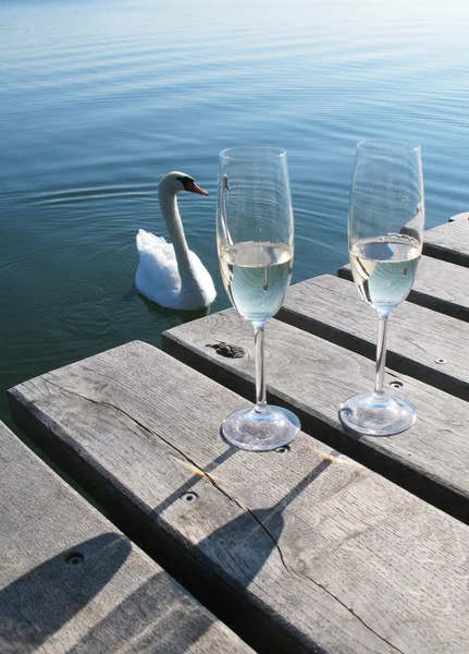 Dos copas de champán en un embarcadero de madera contra un cisne — Foto de Stock