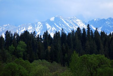 tatra Dağları