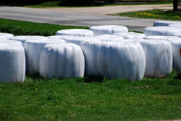 stock image Hay for cows