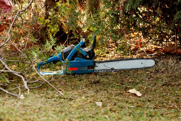 L'uomo taglia un albero — Foto Stock