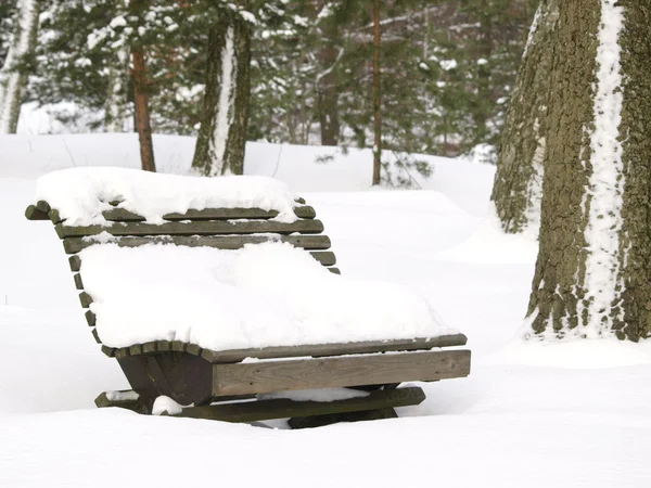 根据雪冬季公园长椅 — 图库照片