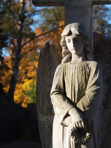 Ангел на могиле — стоковое фото