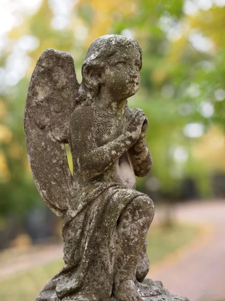 Kamenný anděl — Stock fotografie