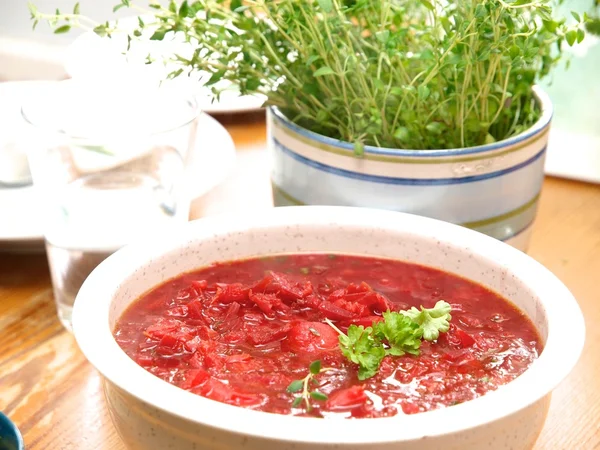 Russion borscht suppe — Stockfoto