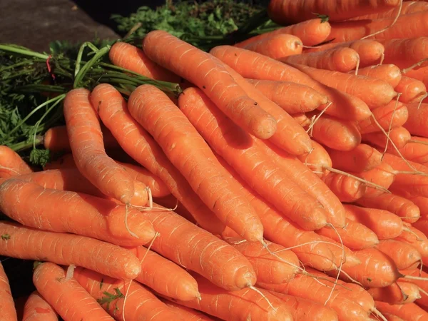 Pile de carottes — Photo