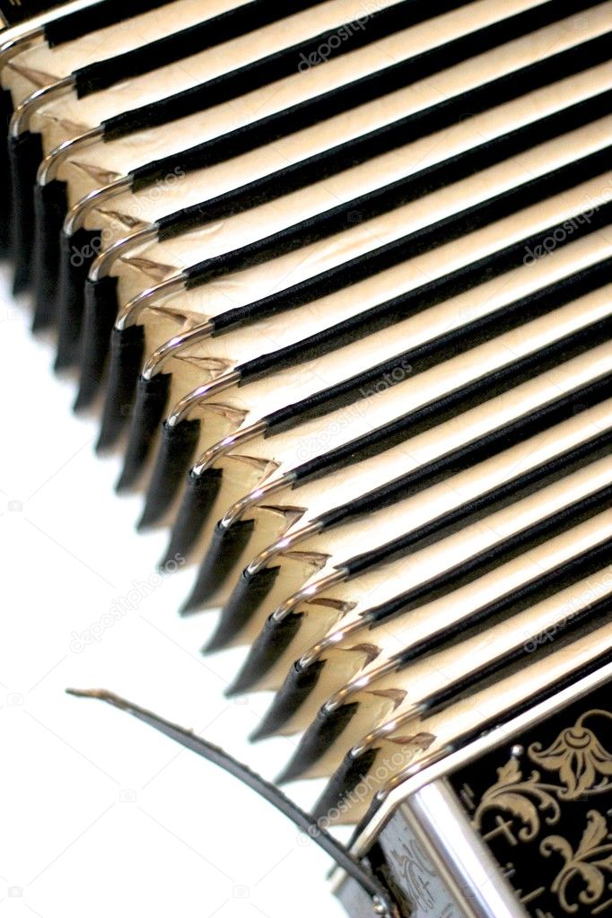 Accordion Bellows — Stock Photo © Laksen 8039807