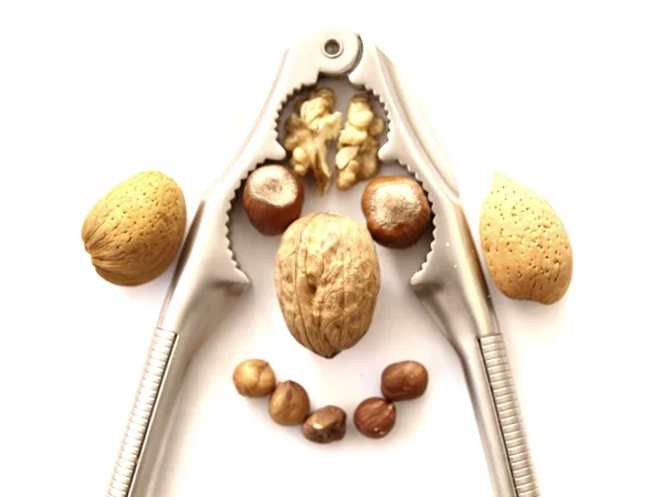 Nuts close up — Stock Photo, Image