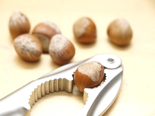Nuts close up — Stock Photo, Image