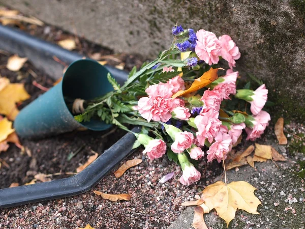 Flowers at a grave — Stock Photo, Image