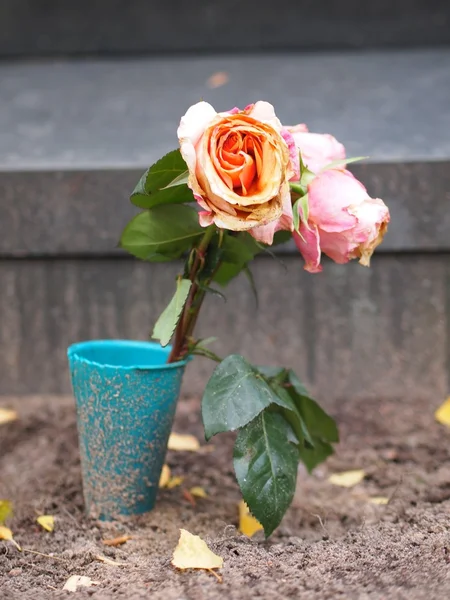 Bir mezar, çiçekler — Stok fotoğraf