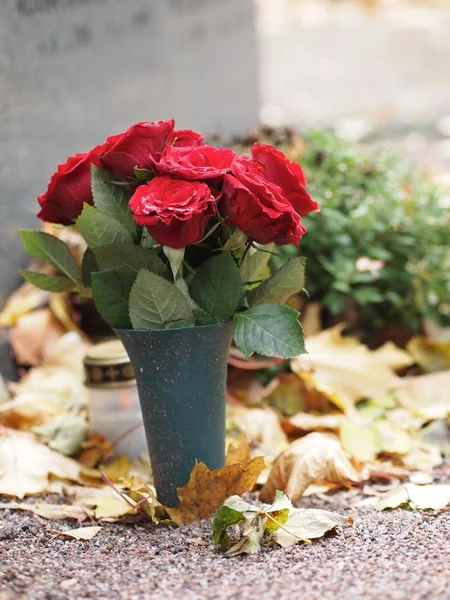Квіти в могилі — стокове фото