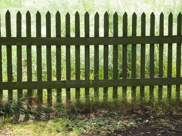 Trädgård staket — Stockfoto