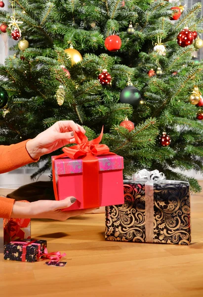 Gift box in the hands under the Christmas tree — Stock Photo, Image