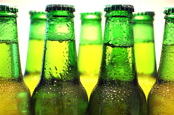 Fila de garrafas de cerveja — Fotografia de Stock