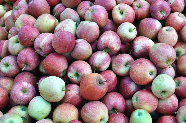 stock image Red apples