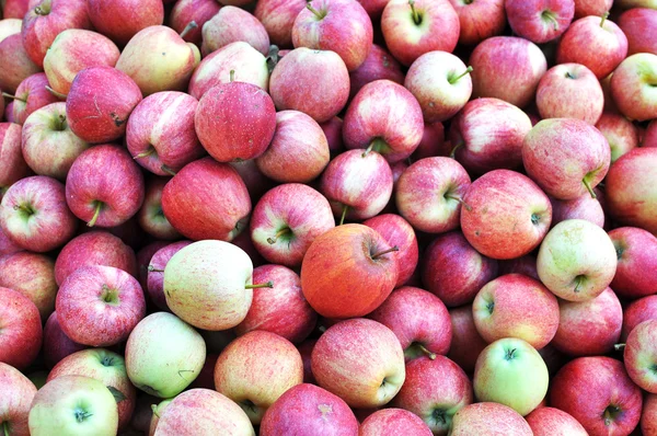 stock image Red apples