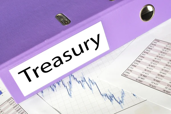 Treasury mapp på en rapport — Stockfoto