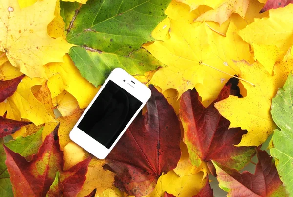 Cellulare sulle foglie d'autunno — Foto Stock