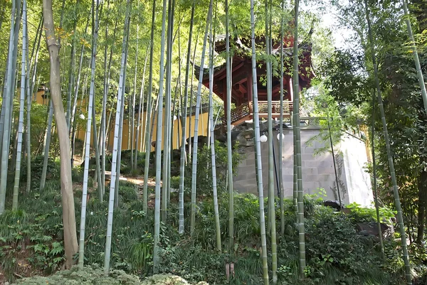 Jardín de montaña de bambú —  Fotos de Stock