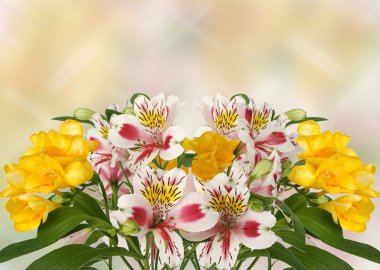 Spring flowers on background clipart