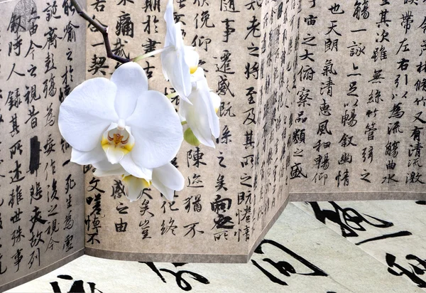 Orchidea és antik kalligráfia — Stock Fotó
