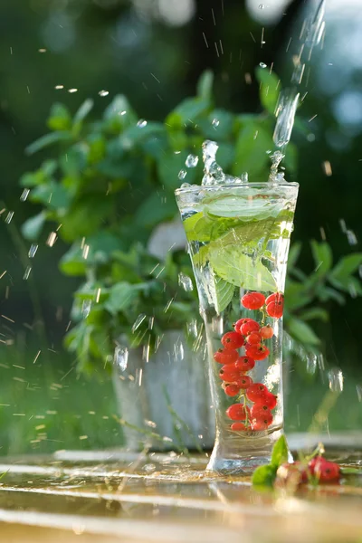 Temiz su ile kırmızı kuş üzümü — Stok fotoğraf
