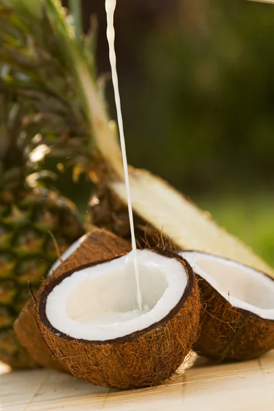 Leche de coco —  Fotos de Stock