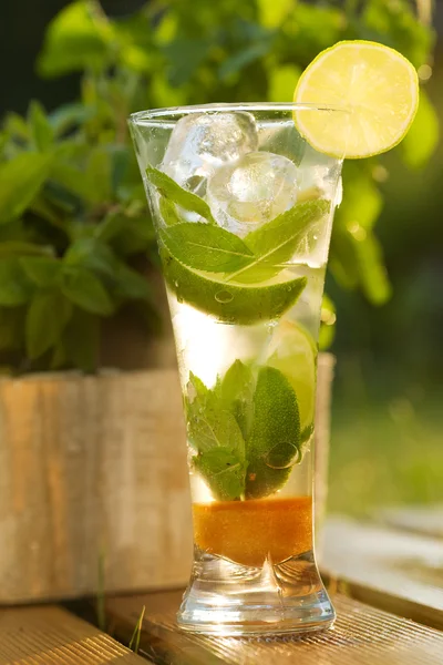 Fresh water with mint and lemon — Stock Photo, Image