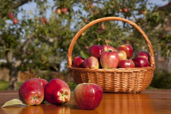 Manzanas en cesta —  Fotos de Stock