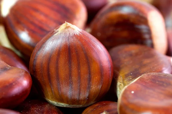 Chestnut — Stock Photo, Image