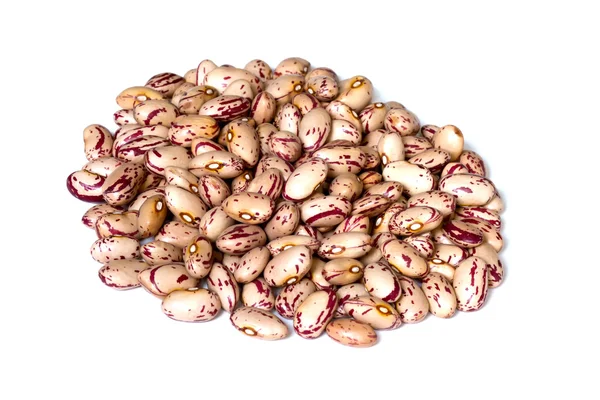 Společné fazole — Stock fotografie