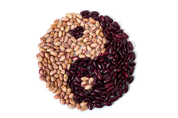 Společné fazole — Stock fotografie