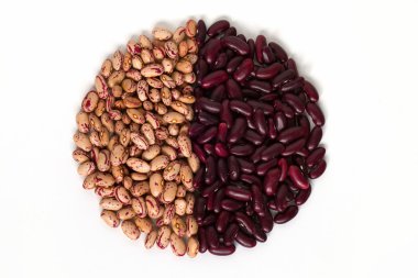 Common beans clipart