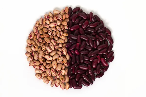 Common beans — Stock Photo, Image
