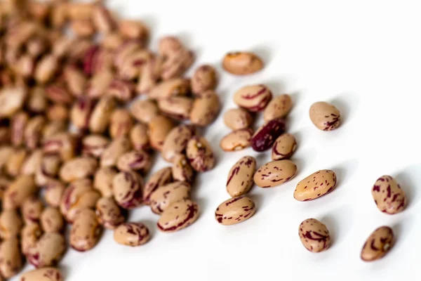 Common beans — Stock Photo, Image