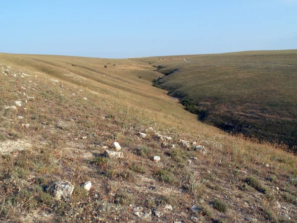 Estepa de Crimea Imágenes de stock libres de derechos