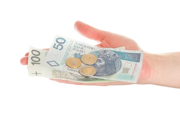 Dinero polaco aislado en mano —  Fotos de Stock