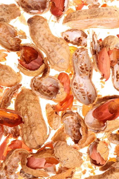Amendoim fresco, fruta isolada sobre fundo branco — Fotografia de Stock