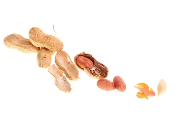 Amendoim fresco, fruta isolada sobre fundo branco — Fotografia de Stock