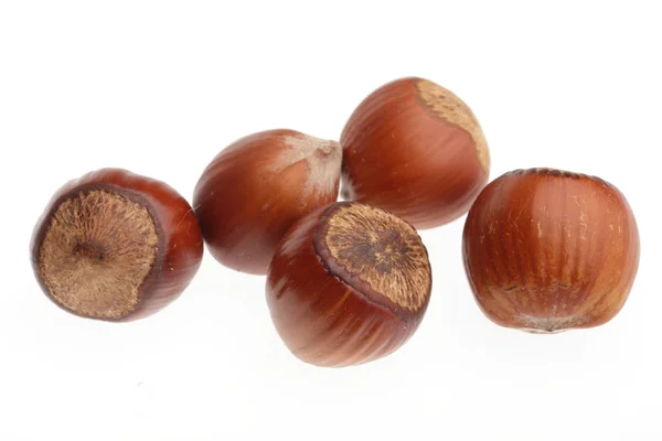 Hazelnut isolated on white background — Stock Photo, Image