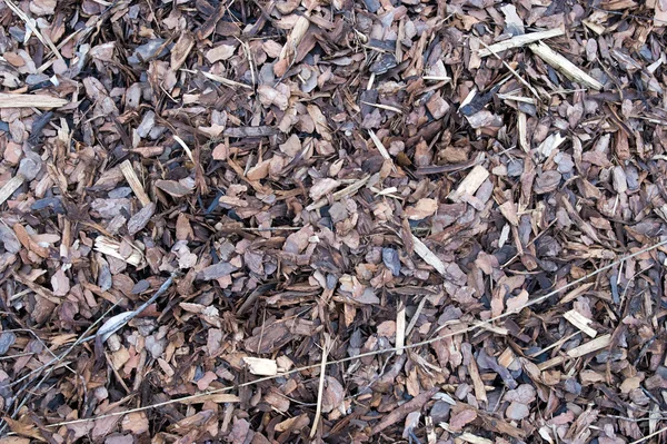 Mulch for background bark — Stock Photo, Image