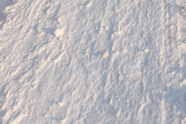 Arka plandan kar — Stok fotoğraf
