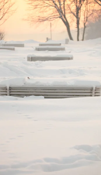 Park bench winter snow — Stock Photo, Image