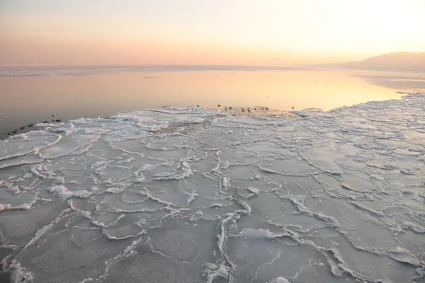 Solnedgång på havet - ice - floe. Polen, gdynia — Stockfoto