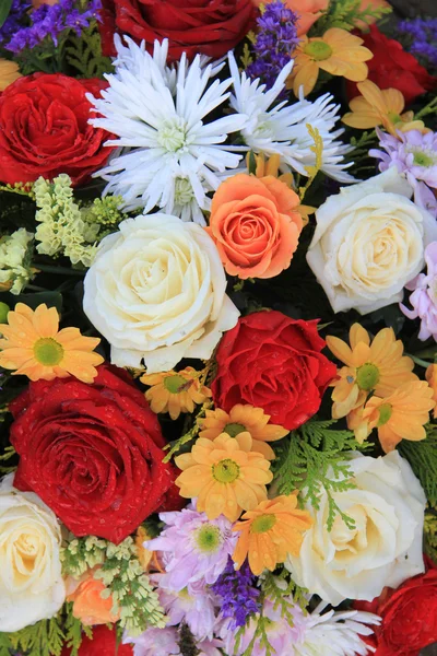 Mieszanych kwiatów układ — Zdjęcie stockowe