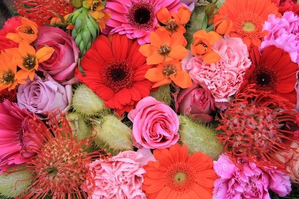 Arranjo de flores vermelho, rosa e laranja — Fotografia de Stock