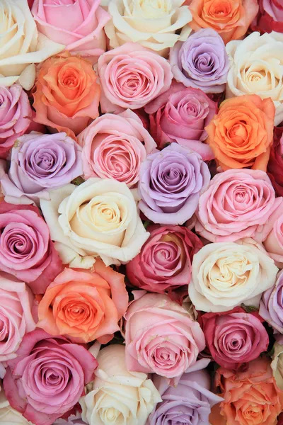 粉彩玫瑰婚礼上的鲜花 — 图库照片