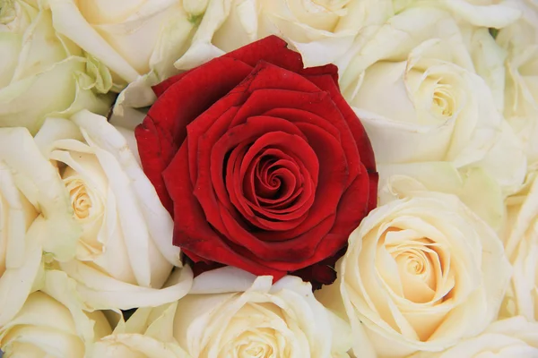 Vermelho e branco rosas arranjo nupcial — Fotografia de Stock