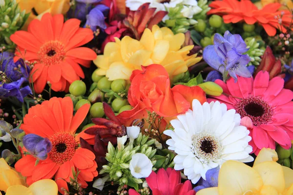 Blandade blomsterarrangemang — Stockfoto