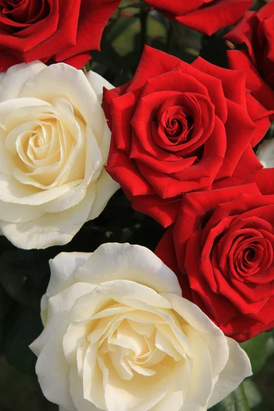 Rosas brancas e vermelhas em um buquê — Fotografia de Stock